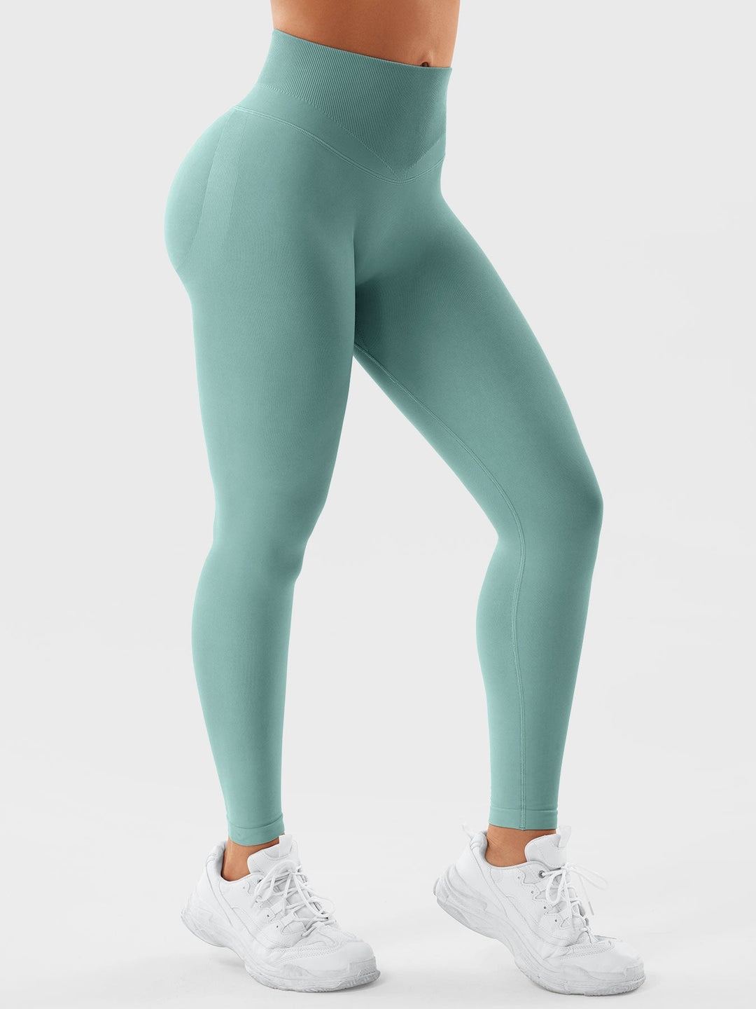 SF Patrica Seamless Leggings