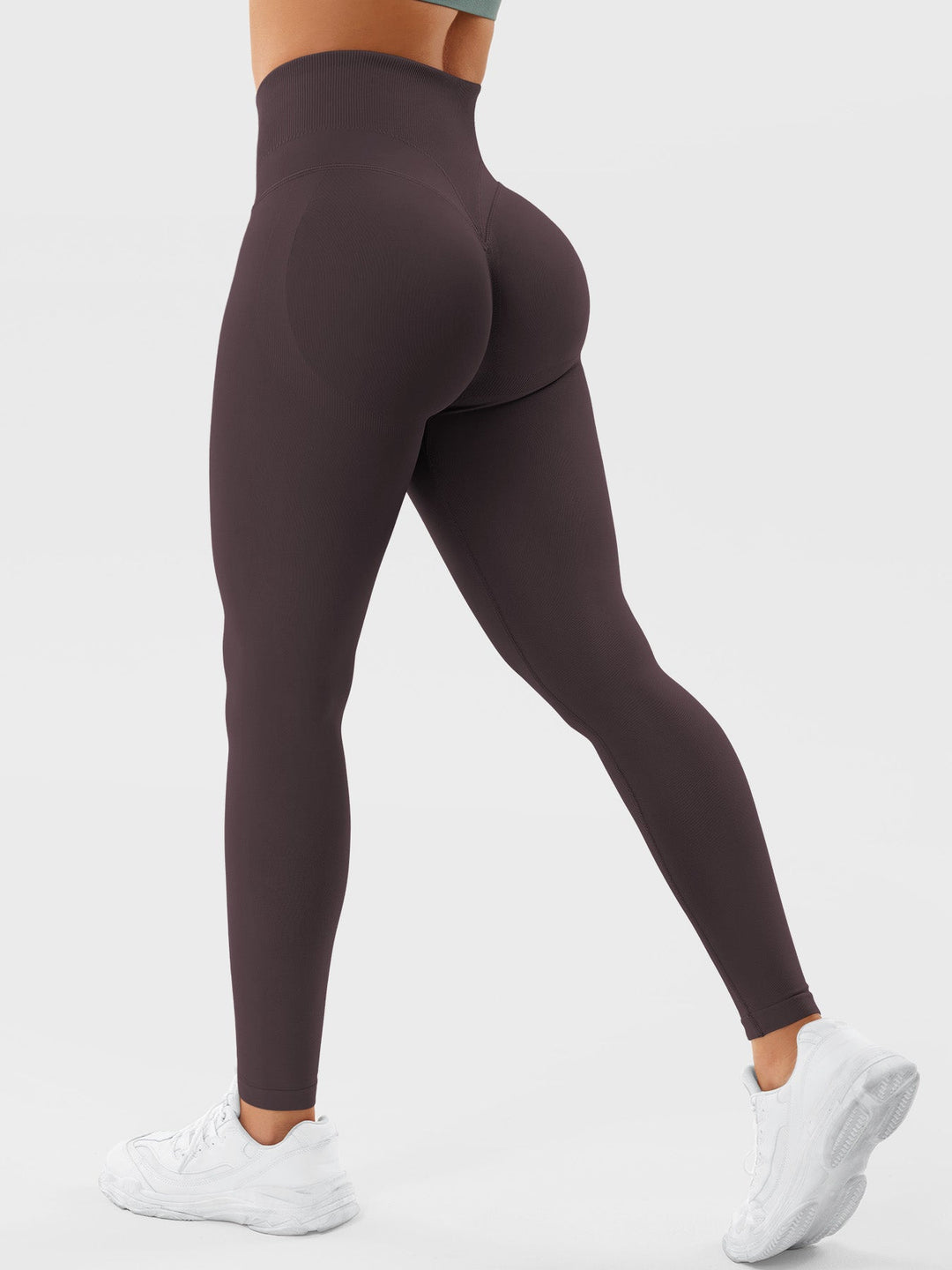 SF Patrica Seamless Leggings