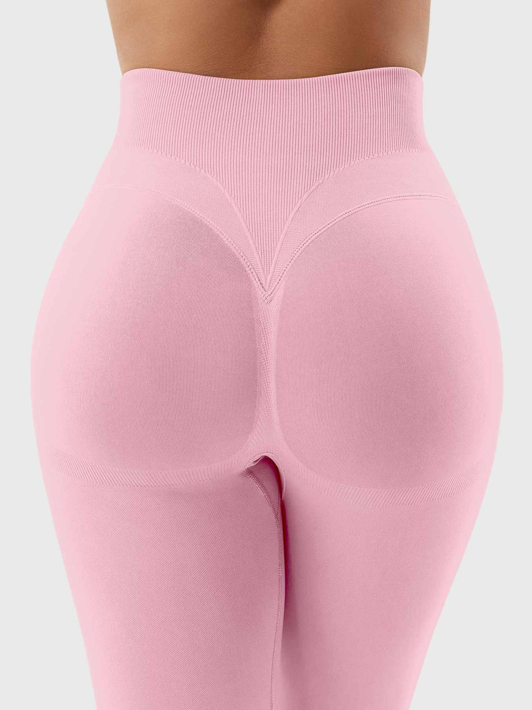 SF Patrica Seamless Leggings